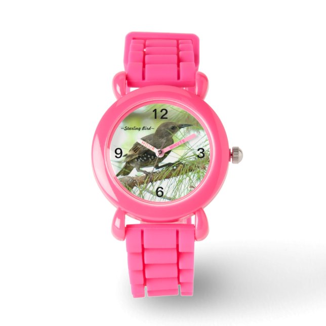 Montre Starling Bird Watch (Recto)