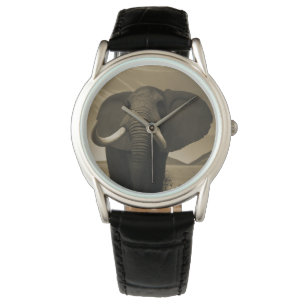 Montre Stature de Majestic