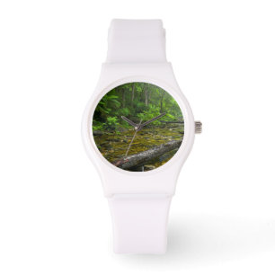 Montre Steam en forêt, montagnard Knysna-Amatole