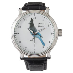 Montre Stellar Blue Jay