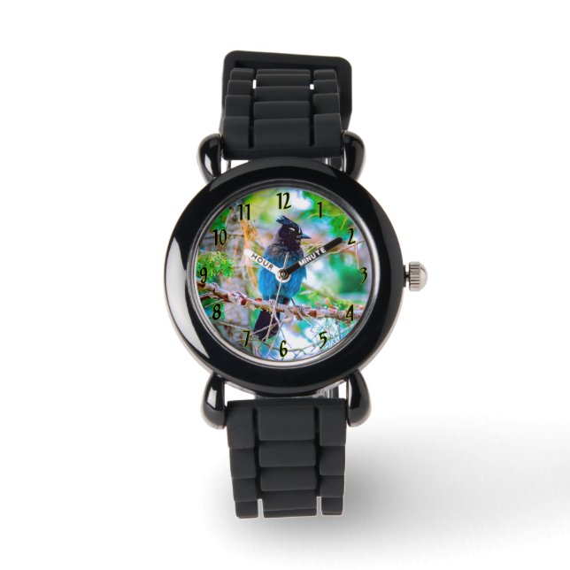 Montre Steller's Jay - Photographie originale (Recto)