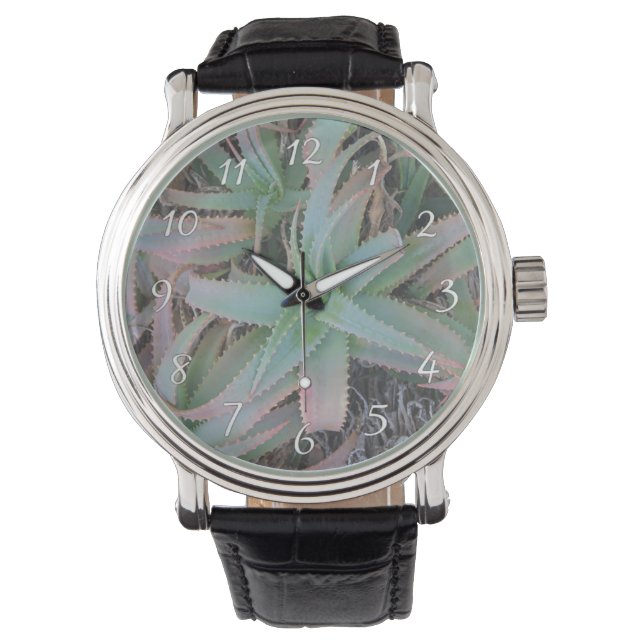 Montre Succulentes du Nevada           (devant)