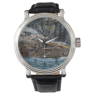 Montre Suivant En Ligne