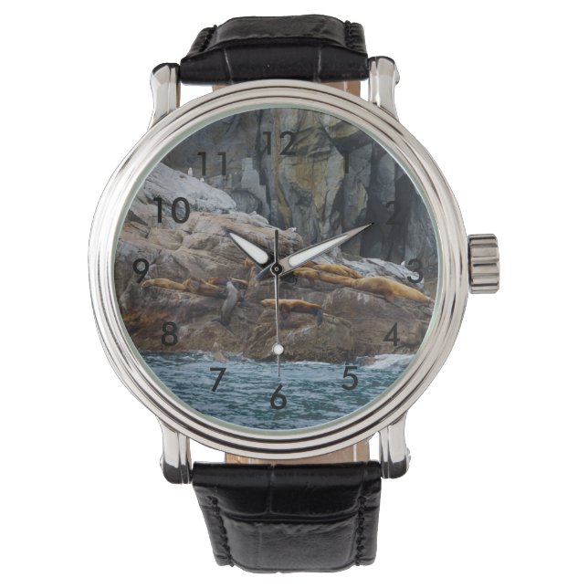 Montre Suivant En Ligne (devant)