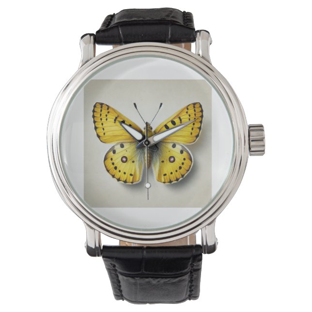 Montre Sulfur Butterfly 131024IREF245 - Watercolor (devant)