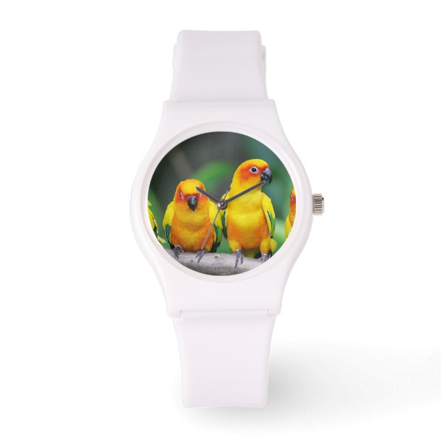 Montre Sun Conures (Recto)