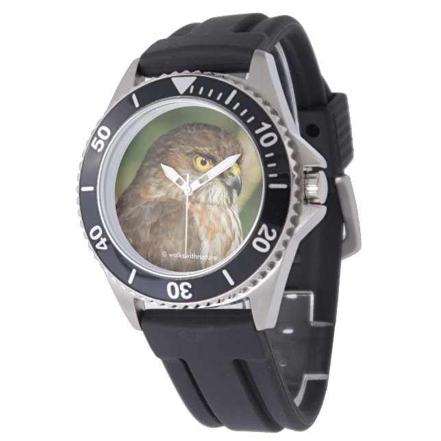 Montre Superbe Épervier à cuisses rousses en visite (Incliné)
