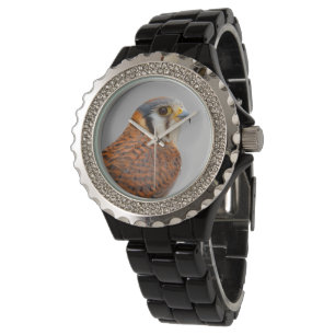 Montre Superbe faucon de la Kestrel aux États-Unis Oiseau