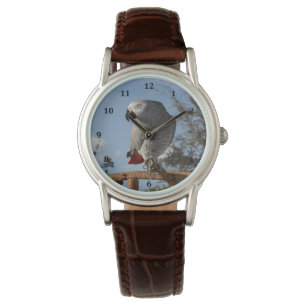 Montre Superbe perroquet gris africain