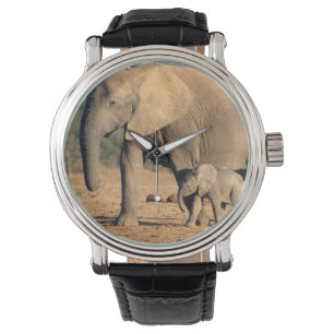 Montre Sur African Elephant mother and calf on the move