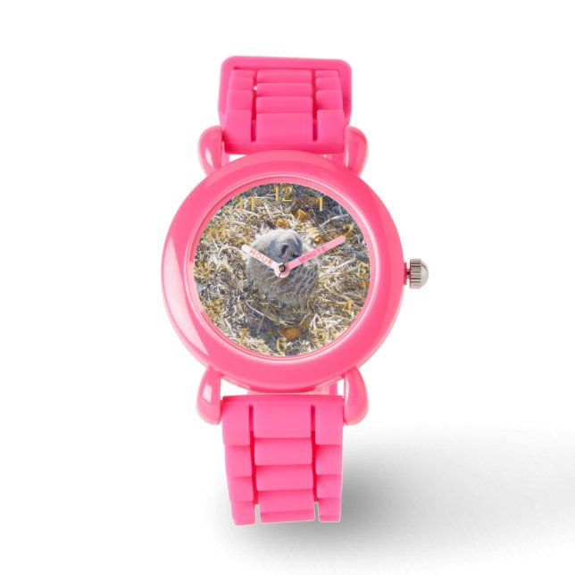 Montre Suricate Construit Un Nid, (Recto)