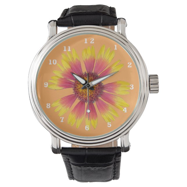 Montre Surveillance de couverture indienne (devant)