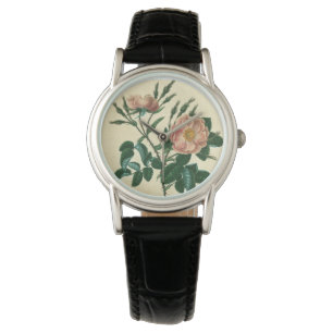 Montre Sweet Briar Rose