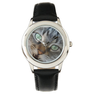 Montre Tabby