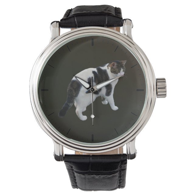 Montre Tabby Blanc Avec Patches Sombres (devant)