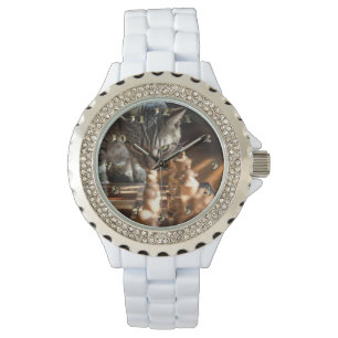 Montre Tabby Cat Jouer Aux Échecs