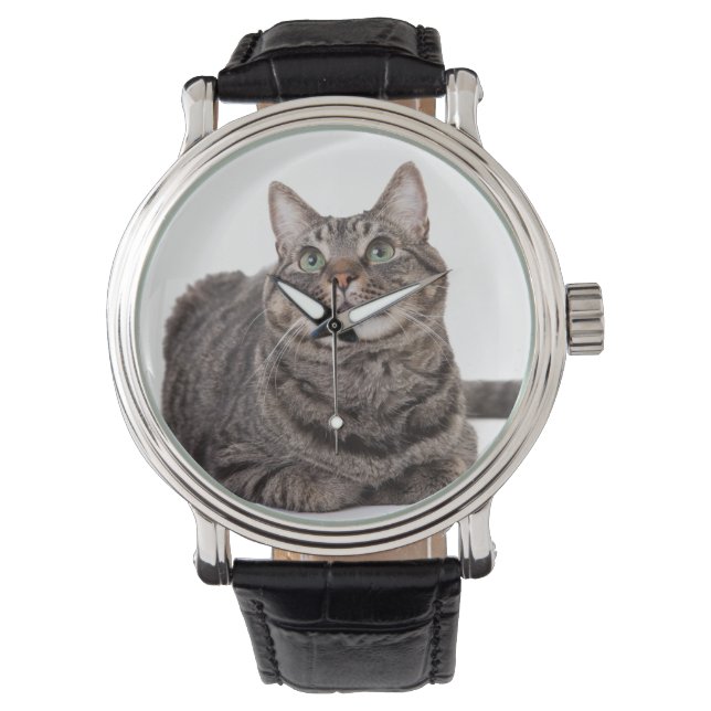 Montre Tabby Gris (devant)
