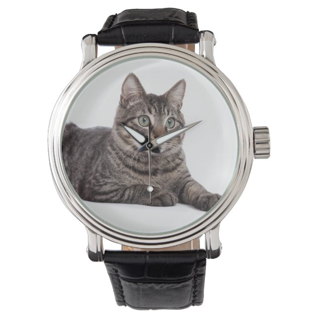 Montre Tabby Gris (devant)