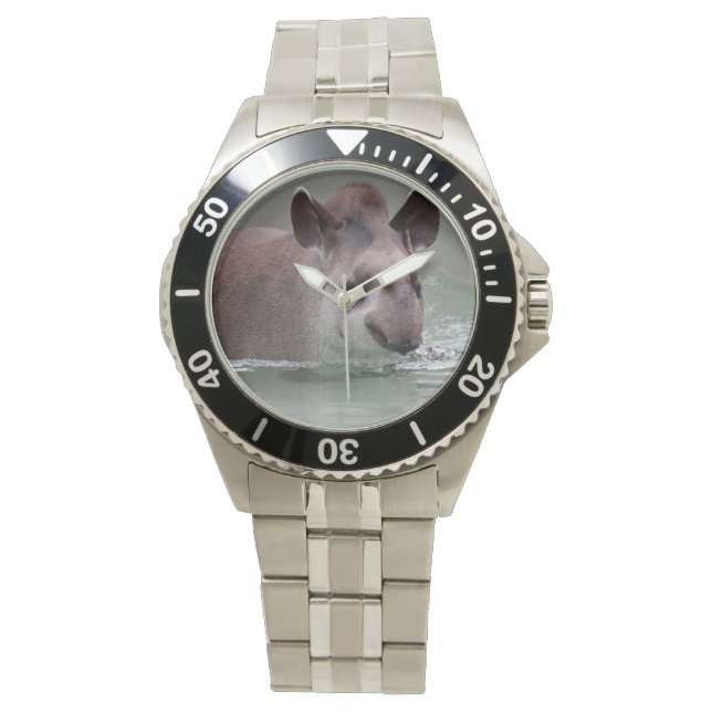 Montre Tapir_2015_0101 (devant)