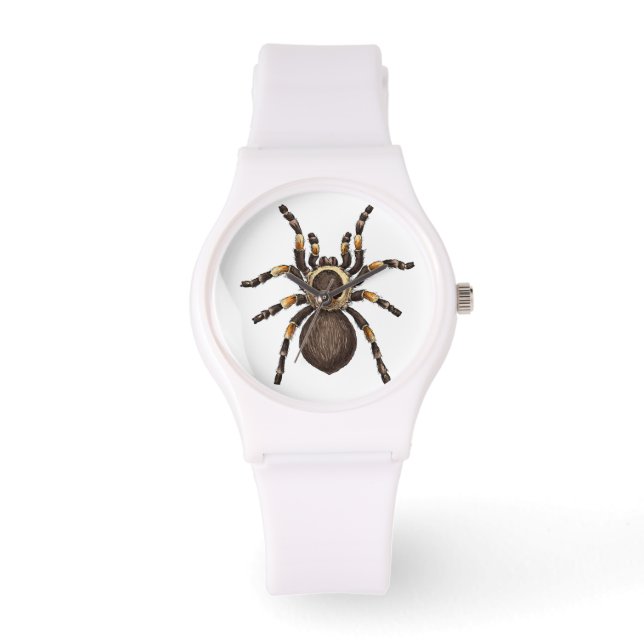 Montre Tarantula (Recto)