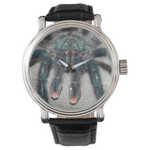 Montre tarantule bleue