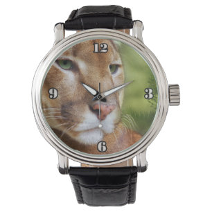 Montre TCWC - Puma Mountain Lion Art