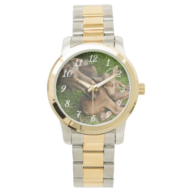 Montre Tendre Mère Moose (devant)