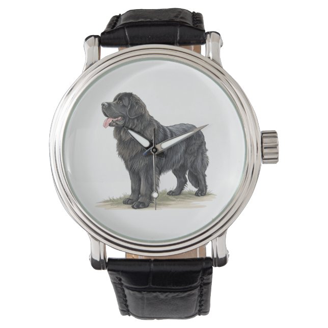 Montre Terre-Neuve (devant)