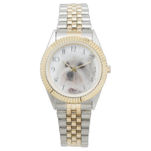 Montre Terrier Adorable White West Highland