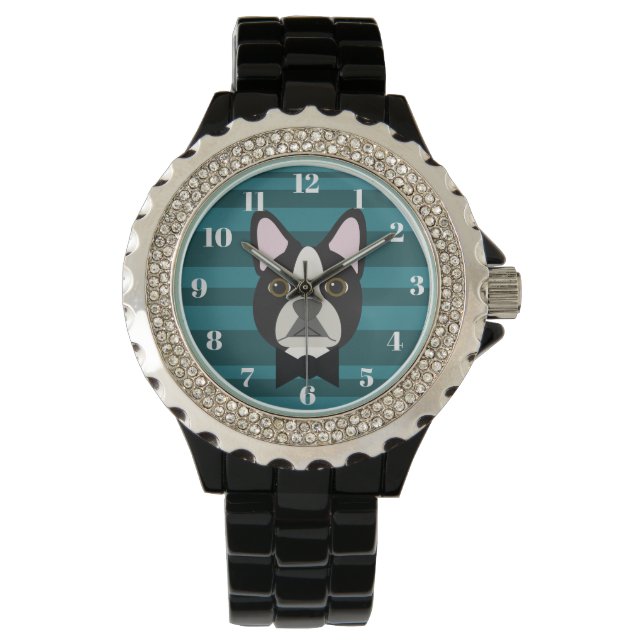 Montre Terrier de Boston (devant)
