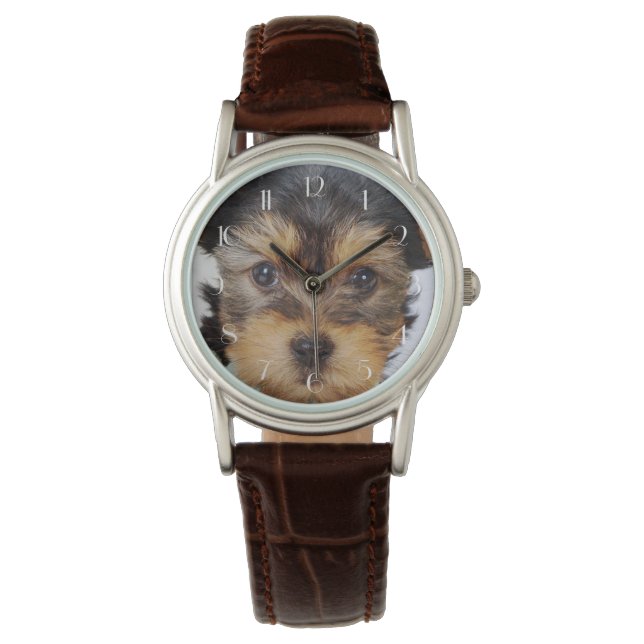 Montre Terrier Puppy du Yorkshire (devant)