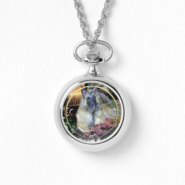 Montre Tervuren (Recto)