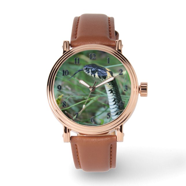 Montre Tête de serpent (Recto)