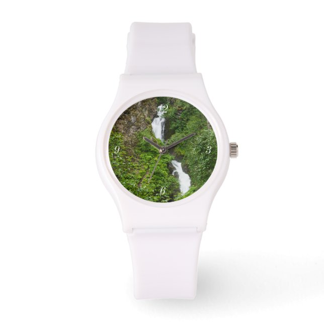 Montre Thunderbird Falls Peinture (Recto)
