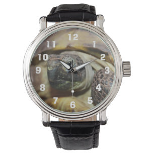 Montre Tibbs