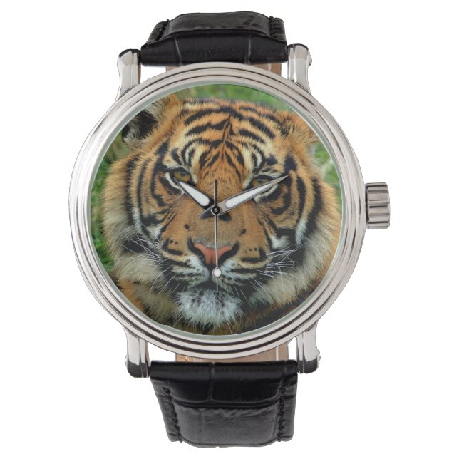 Montre Tiger (devant)