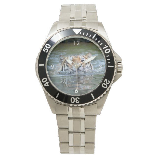Montre Tiger20160201 (devant)