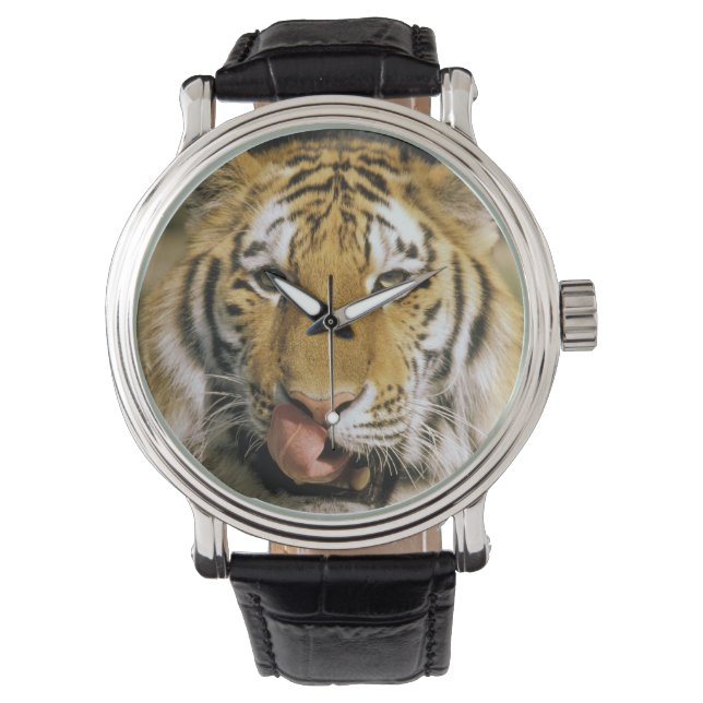 Montre Tiger Zoo du Michigan (devant)