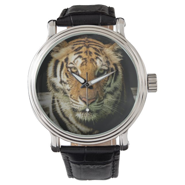 Montre tigre (devant)