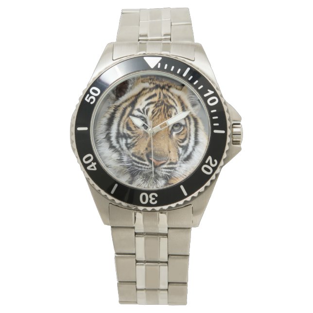Montre Tigre (devant)