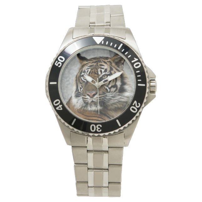 Montre Tigre (devant)