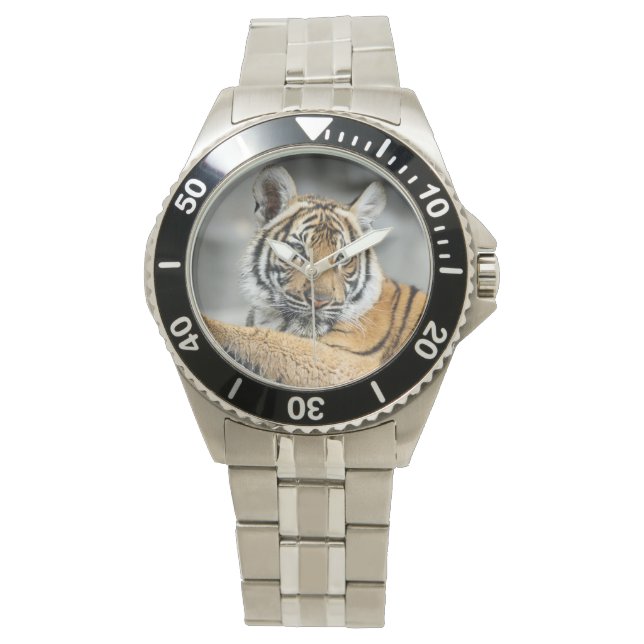 Montre Tigre (devant)
