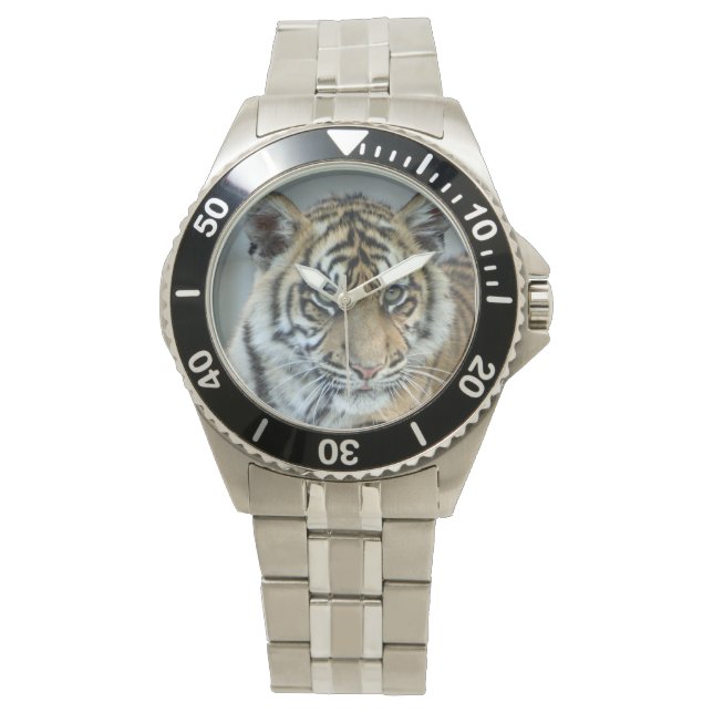 Montre Tigre (devant)
