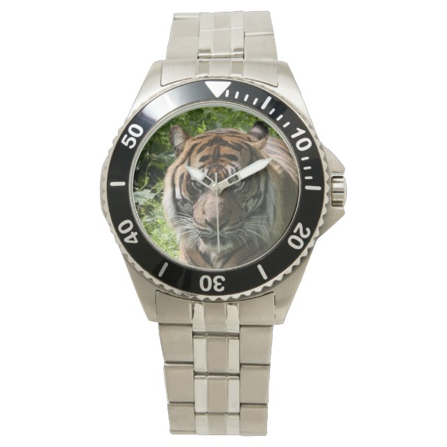 Montre Tigre (devant)