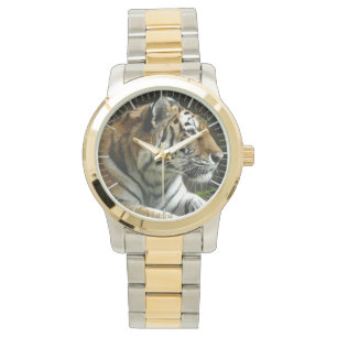 Montre Tigre fier