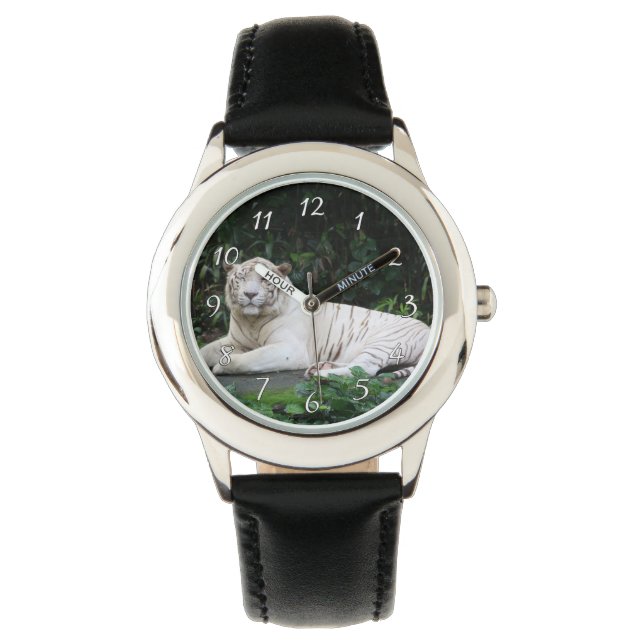 Montre Tigre noir et blanc du Bengale détendu et souriant (devant)
