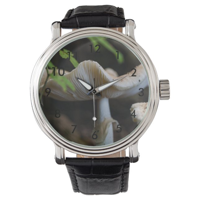 Montre Toadstool parapluie (devant)