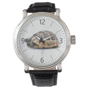 Montre Tortue