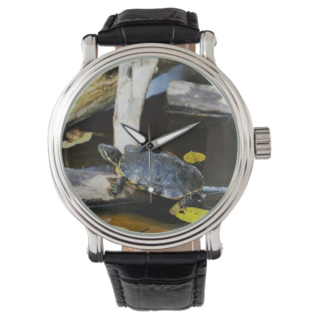Montre Tortue de l'étang dans la nature (devant)