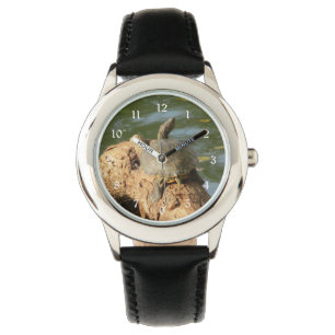 Montre Tortue d'étang